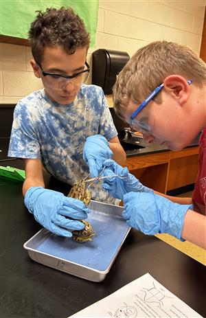 7th grade science dissection 2025 16.jpg